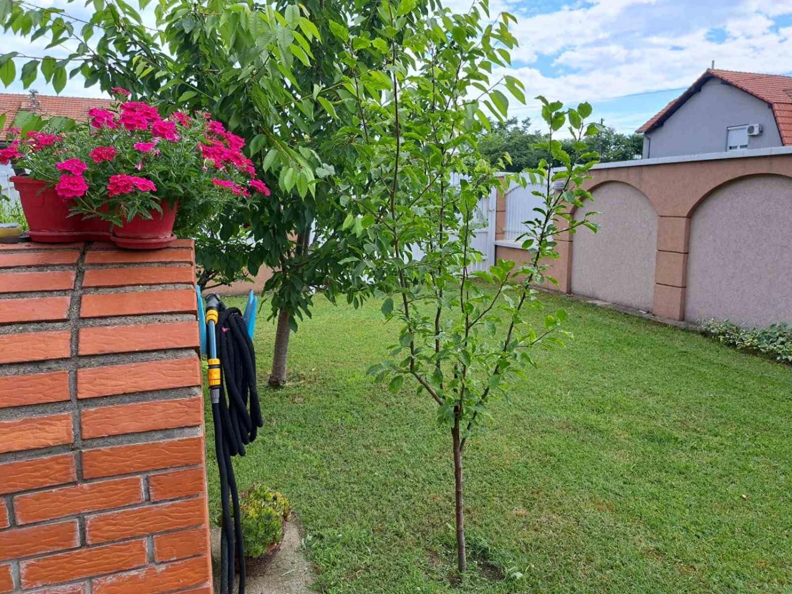 Villa Nena Kladovo Zewnętrze zdjęcie